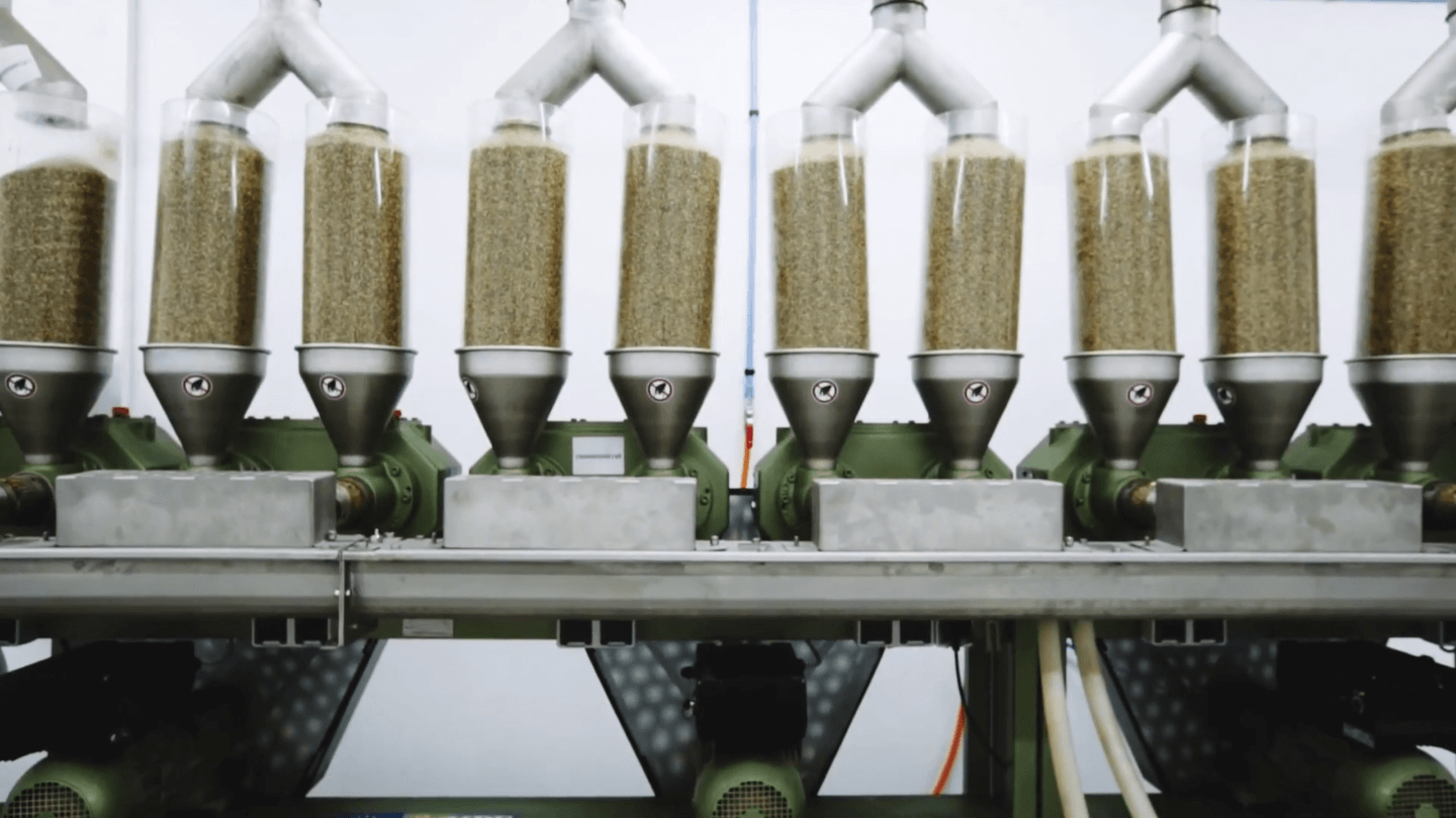 Ensuring Hemp Quality Through Certifications and Standards