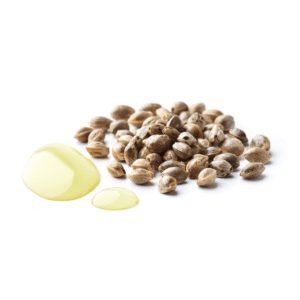 Natural hemp seeds oil in white background