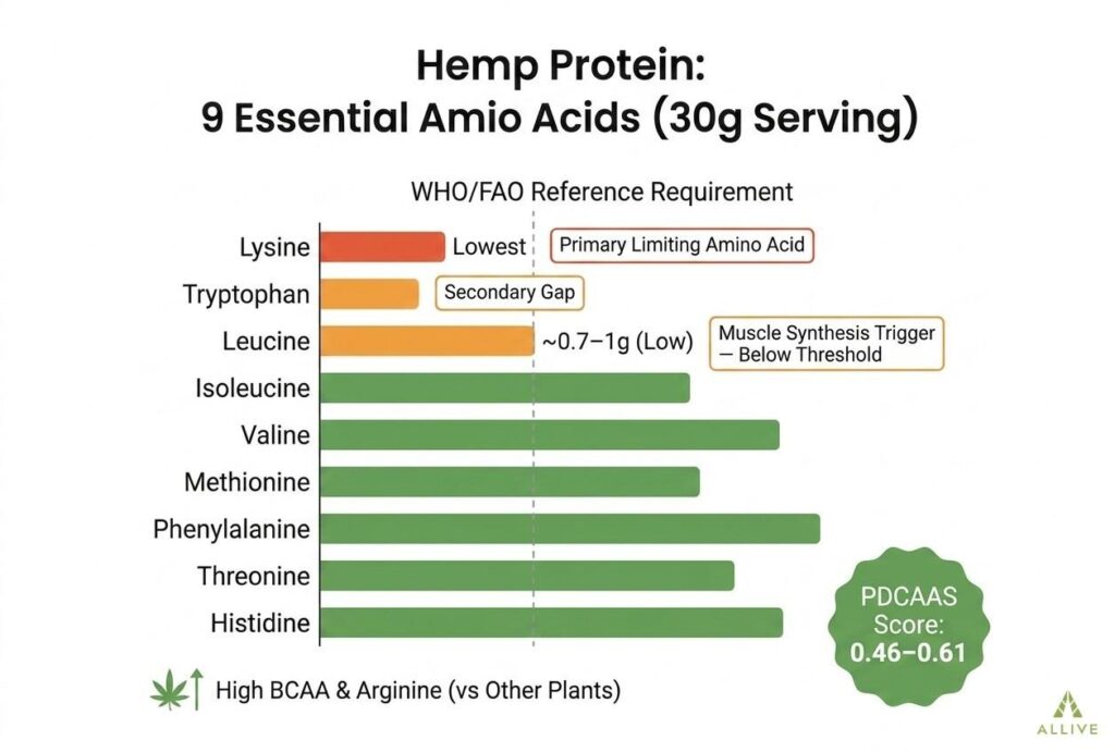 Hemp protein amino acid profile bar chart showing all 9 essential amino acids per 30g serving, highlighting lysine and leucine deficiencies against WHO reference requirements
